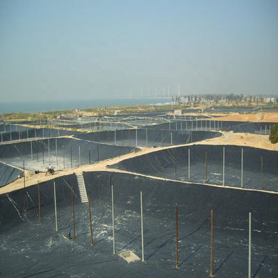 Customizable Black HDPE Geomembrane for 0.5mm Fish Ponds Farm Industrial Design Style