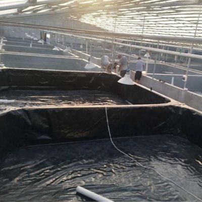 Double Texture HDPE Geomembrane Fish Farm Pond Liner with Project Solution Capability