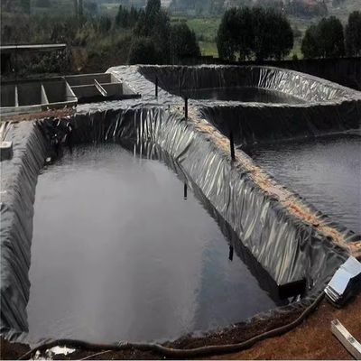 Double Texture HDPE Geomembrane Fish Farm Pond Liner with Project Solution Capability