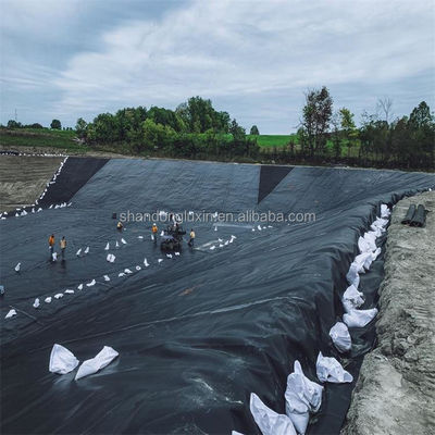 1.5mm Black HDPE Geomembrane for Lake Dam Liner Farm Liner Industrial Design Style