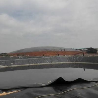Online Technical Support 2mm HDPE Geomembrane Pond Liner for Fish Farming and Landfill