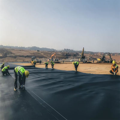 Double Smooth Surface Black HDPE Geomembrane for Fish Shrimp Farming Pond Dam Liner