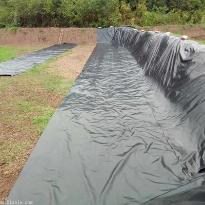 Double Smooth Surface Black HDPE Geomembrane for Fish Shrimp Farming Pond Dam Liner