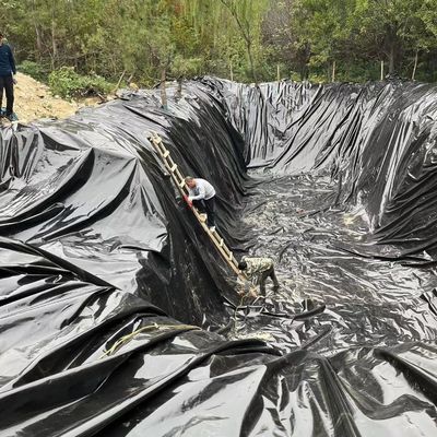 1.2mm 1.5mm HDPE Geomembrane for Pond Industrial Design Double Smooth/Double Texture