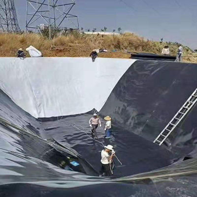 Customized Fish Farm Pond Liner HDPE Geomembrane with 3D Model Design Capability