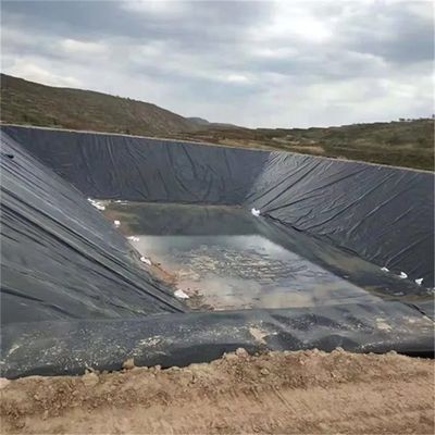 Customized Fish Farm Pond Liner HDPE Geomembrane with 3D Model Design Capability