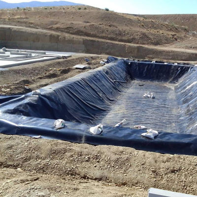 Customized Fish Farm Pond Liner HDPE Geomembrane with 3D Model Design Capability
