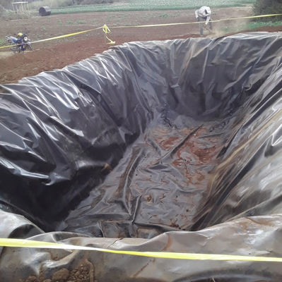 Customized Fish Farm Pond Liner HDPE Geomembrane with 3D Model Design Capability