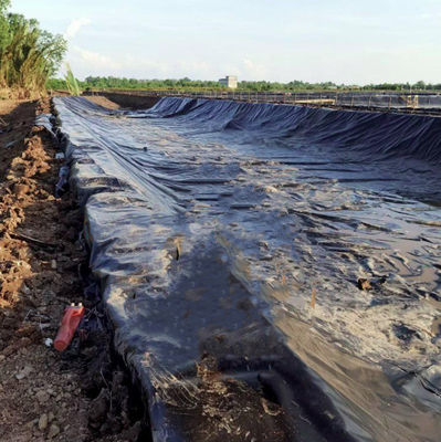 Double Smooth HDPE Geomembrane for Fish Farming and Landfill Environmental Protection