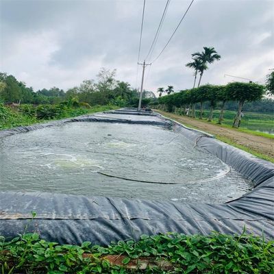Large 1mm HDPE Geomembrane Pond Liner for Aquafarm Double Smooth/Double Texture Surface