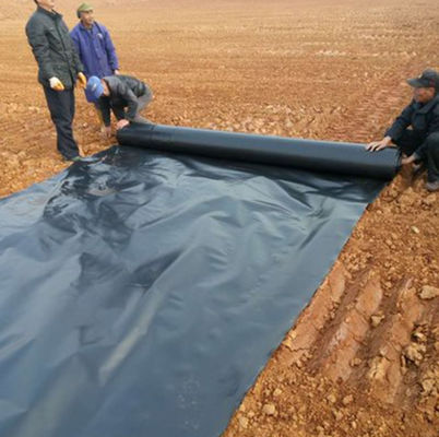 Project Solution Capability 100% HDPE Geomembrane Pool Liner for Smooth Fish Farming