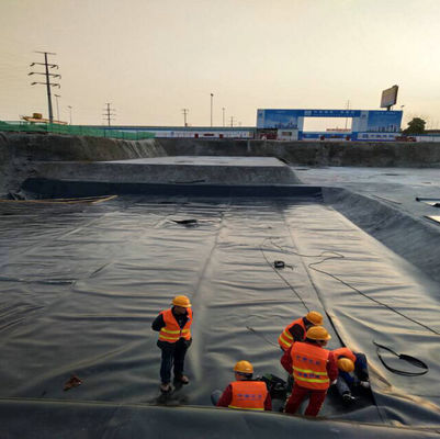 Project Solution Capability 100% HDPE Geomembrane Pool Liner for Smooth Fish Farming