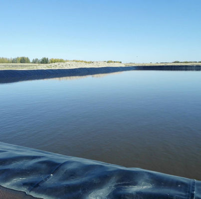 Project Solution Capability 100% HDPE Geomembrane Pool Liner for Smooth Fish Farming