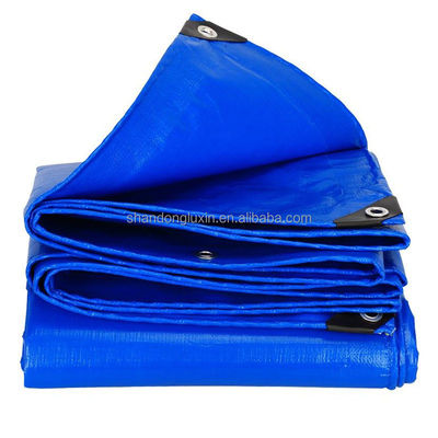 Customizable PE Tarpaulin Roll for Truck and Storage Cover in Different Densities