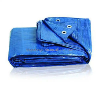 Customizable PE Tarpaulin Roll for Truck and Storage Cover in Different Densities