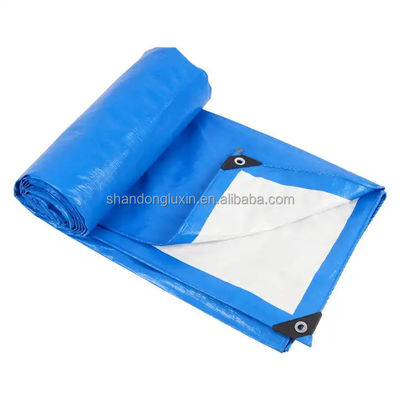 Customizable PE Tarpaulin Roll for Truck and Storage Cover in Different Densities