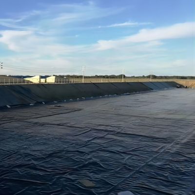 Project Solution Capability Modern 1.0mm HDPE Fish Pond Liner for Roof Waterproofing