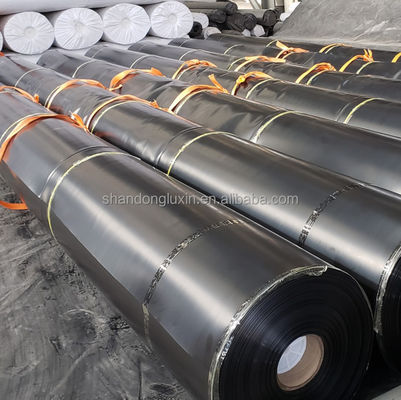 ASTM GRI-GM13 Standard Geomembranes Fish Pond Liner for Aquaculture Project Solutions
