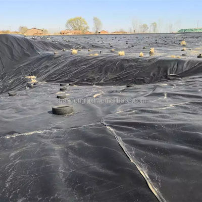 Glossy White 1.5mm HDPE Geomembrane Roll for Pool Fish Farm Pond Liner Tank Dam Lining