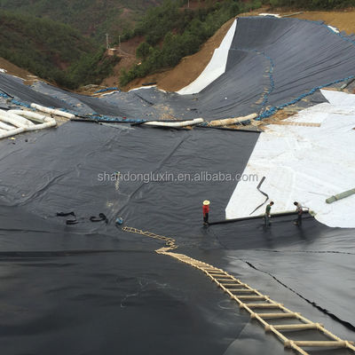 ASTM GRI-GM13 Standard HDPE Geomembrane Sheet for Aquaculture Pond Liner in 1m-8m Width
