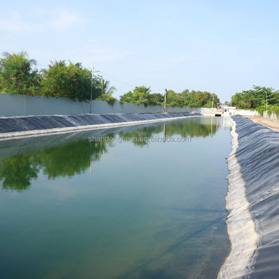 1m-8m Width HDPE Geomembrane Liner for Fish Farm Pond Project Solution Capability