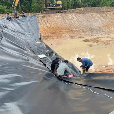1m-8m Width HDPE Geomembrane Liner for Fish Farm Pond Project Solution Capability