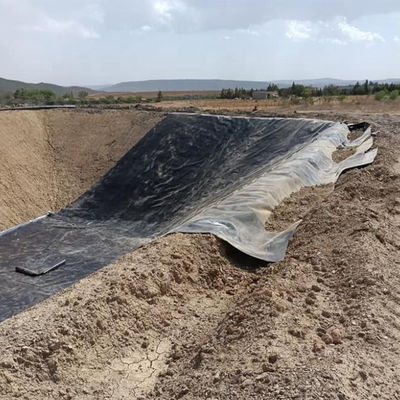 1m-8m Width HDPE Geomembrane Liner for Fish Farm Pond Project Solution Capability