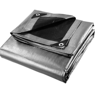 Coated PE Tarpaulin for Sunlight Blocking and Rainproof Covering 3x4m 4x5m 4x6m Direct