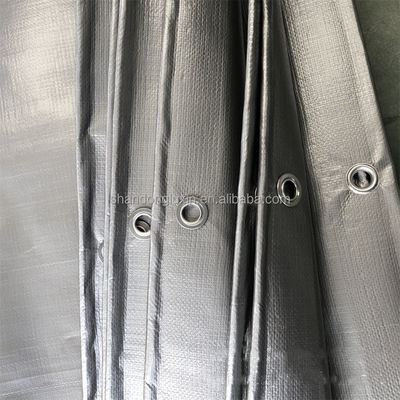 Coated PE Tarpaulin for Sunlight Blocking and Rainproof Covering 3x4m 4x5m 4x6m Direct
