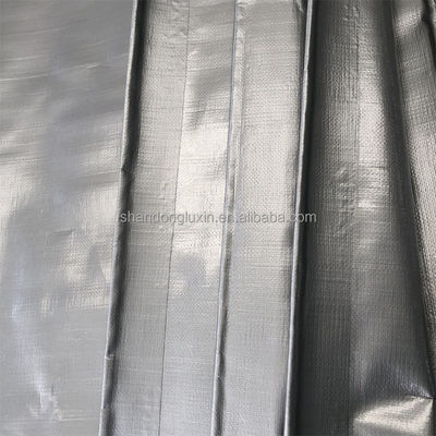 Coated PE Tarpaulin for Sunlight Blocking and Rainproof Covering 3x4m 4x5m 4x6m Direct
