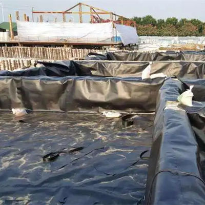 1mm HDPE Geomembrane for Fish Pond and Landfill Width 1m-8m Onsite Inspection Durable
