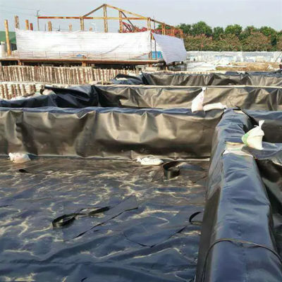 1m-8m Width Double Texture HDPE Geomembrane for Fish Pond and Landfill 1mm Thickness