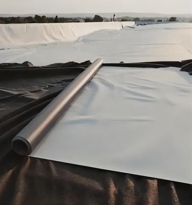 Prefabricated Smooth Geomembrane Textured Geomembrane 2mm for HDPE Waterproof Design