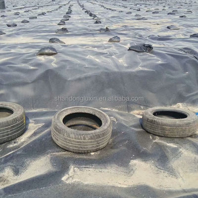 ASTM GRI-GM13 Standard HDPE Smooth Geomembrane Fish Pond Liner for Water Storage Tanks