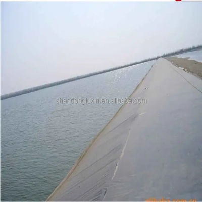 Customizable HDPE Geomembrane for Roof Leak Prevention and Artificial Lake Direct Sale