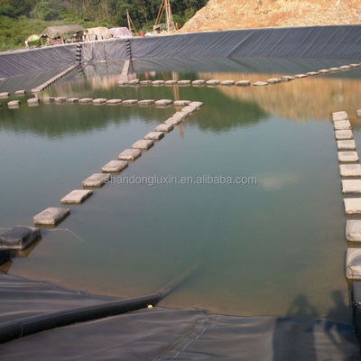 0.5mm HDPE Geomembrane Liner Sheet for Fish Farming Pond Easy to Install and Maintain
