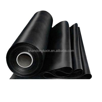 High Density Polyethylene EVA Geomembrane for Roof Waterproofing 0.5mm 1mm 2mm Black