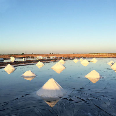 Waterproof HDPE Fish Pond Liner 30mil 60 mils Black Geomembrane for Water Storage Tanks