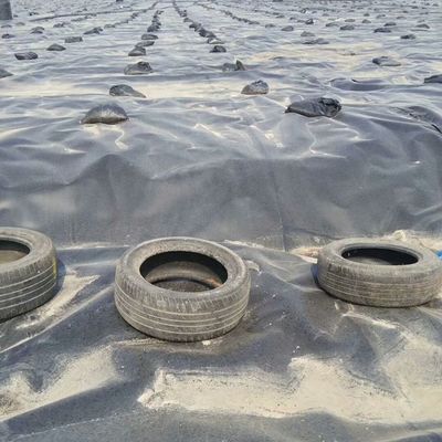 Double Smooth Surface 0.5mm Fish Farm Pond Liner with Waterproof Geomembrane