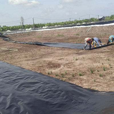 1m-8m Width Double Smooth Black HDPE Pond Liner For Fish Shrimp Swimming Pool Farming