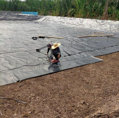 1m-8m Width Double Smooth Black HDPE Pond Liner For Fish Shrimp Swimming Pool Farming