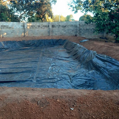 HDPE Smooth Geomembrane for Aquaculture Fish Pond Liner in 0.3mm 0.5mm 0.8mm Thickness