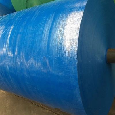 Stain Resistant and Waterproof Blue PE Tarpaulin Cover Sheet for Outdoor Applications