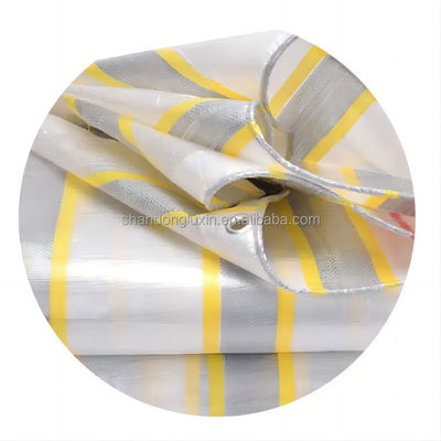 Polyethylene Tarpaulin with Waterproof and Dustproof Properties 3x4m 4x5m 4x6m Sizes