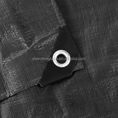 Black PE Tarpaulin for Waterproof and Dustproof Item Covering in 3x4m 4x5m 4x6m Sizes