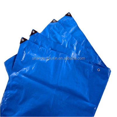 Waterproof PE Tarpaulin with 8*8-14*14 Density Moisture-proof Dustproof Sun Resistant