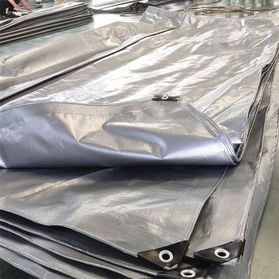 Customer Request Color Blue PE Tarpaulin Cover Sheet with Waterproof and Width 2-12m