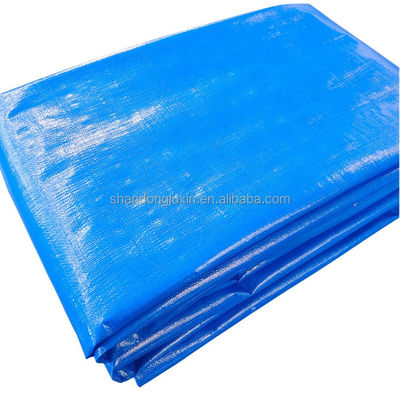 Waterproof Dustproof Moisture Proof Tent With 140 Gsm Polyethylene PE Tarpaulin