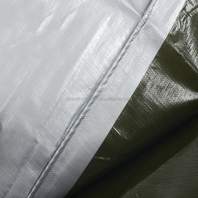 Moisture-proof and Dustproof PE Tarpaulin Coated for Tents Awning Roof Covering