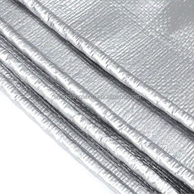 PE Polyethylene Tarpaulin in ROLL Waterproof RIP STOP Tarp Fabric with High Durability